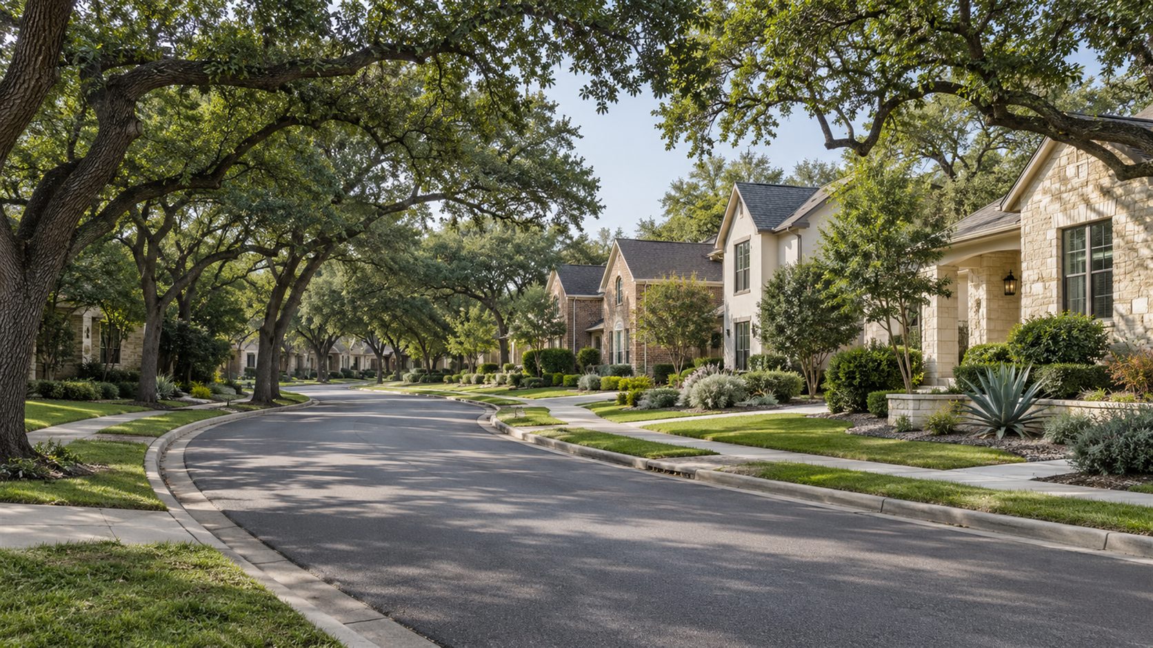 Illustration of a quiet San Antonio-style street lined with limestone and brick homes beneath mature live oak trees.