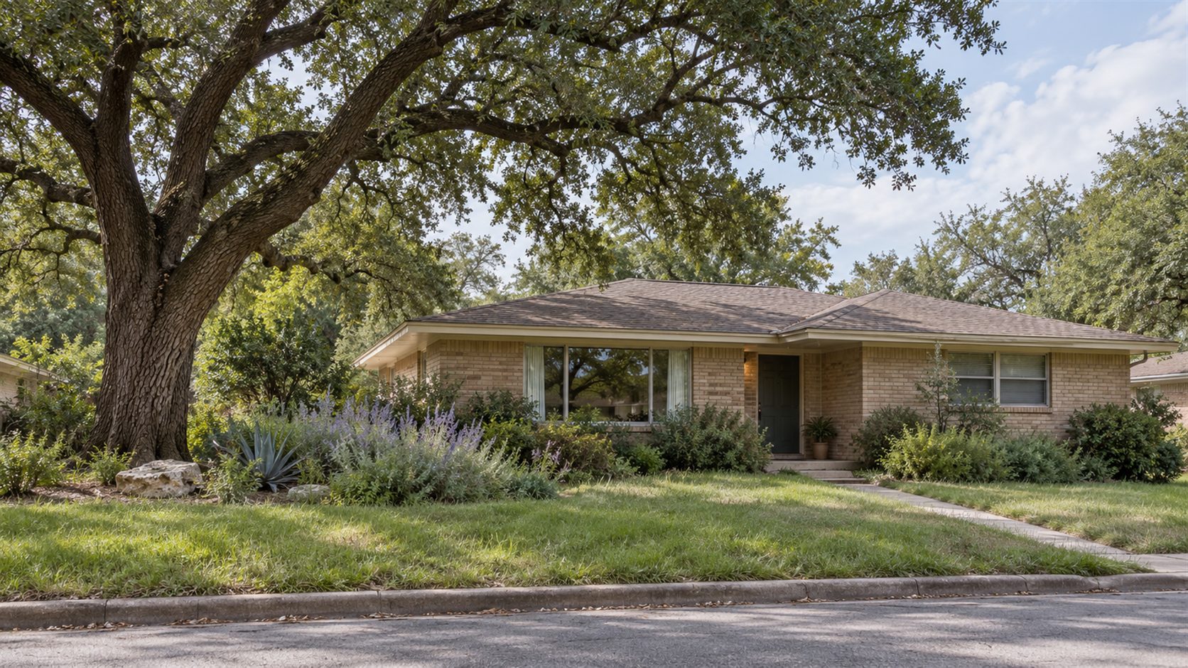 Illustration of an older Texas-style brick home with faded trim and an overgrown yard beneath a spreading live oak.